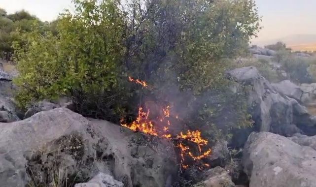 Çıkan yangın yürekleri ağza getirdi