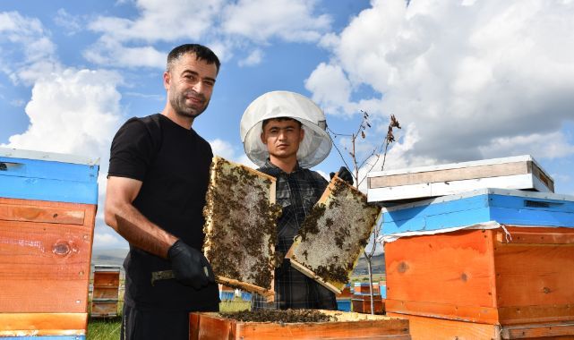 Coğrafi işaretli balında hasat zamanı