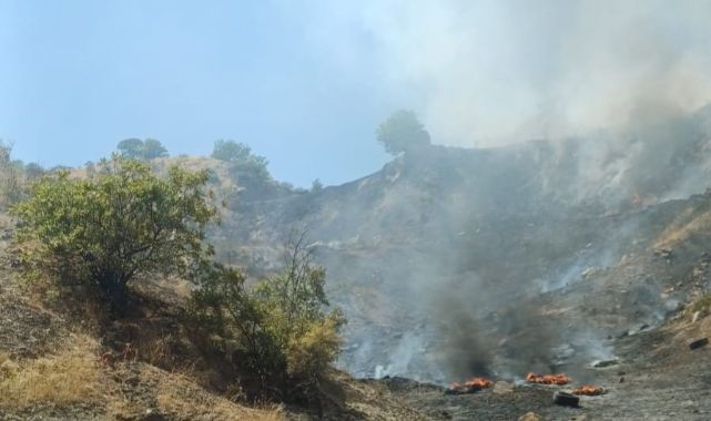 Çöplük yangını ormana sıçradı