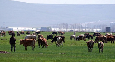 Danimarka gözünü Erzurum ve Kars'a çevirdi!