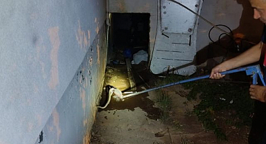 Depodaki yılan ekipleri harekete geçirdi!