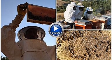Doğanın bereketi bala yansıdı: Rekoltede yüzde 20 artış 