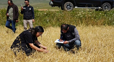 Dolunun vurduğu arazilerde hasar tespiti