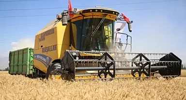 Erzurum’da 650 dekarlık tarlada buğday hasadı