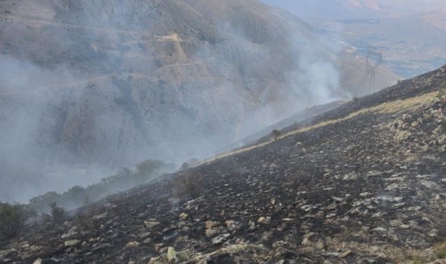 Erzurum'da orman yangınına örnek mücadele