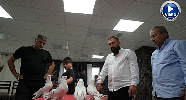 Erzurum'da servet değerindeki güvercinler görücüye çıktı