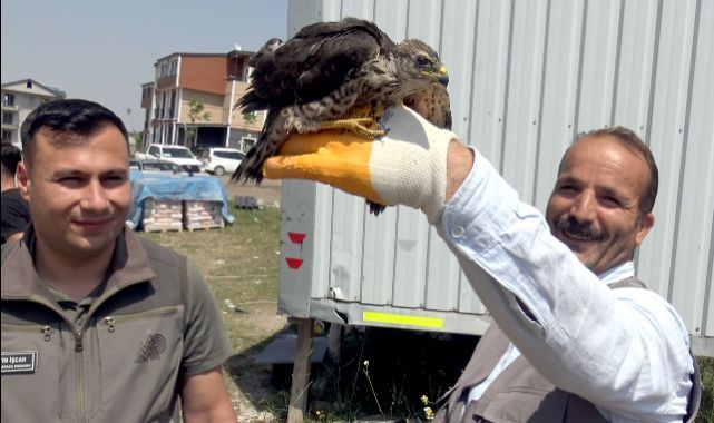 Gökdoğan için seferber oldular