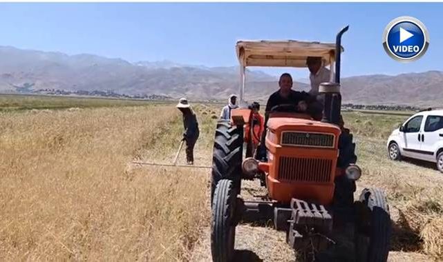 Güneş altında hasat zamanı!