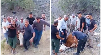 Günlerce kurtarılmayı bekledi...
