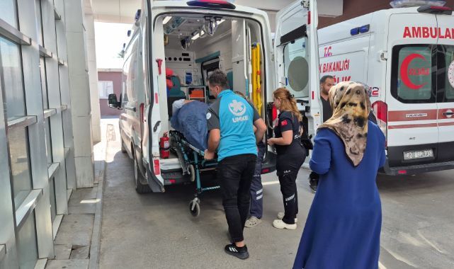 İncir toplamak pahalıya patladı