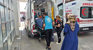 İncir toplamak pahalıya patladı