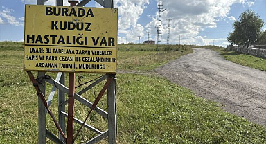 İşletmede kuduz çıktı! Bölge karantinaya alındı