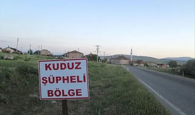 İşletmede kuduz çıktı! Bölge karantinaya alındı