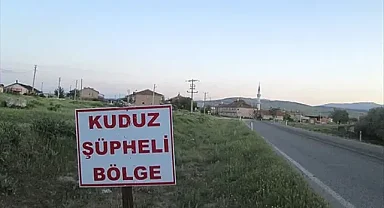 İşletmede kuduz çıktı! Bölge karantinaya alındı