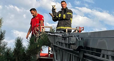 İtfaiyeden kedi kurtarma operasyonu!