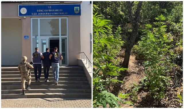 Jandarma operasyonu: Uyuşturucu ve silah ele geçirildi