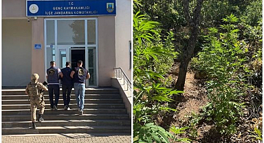 Jandarma operasyonu: Uyuşturucu ve silah ele geçirildi