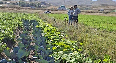 Kadın çiftçilerin fidelerine sıkı takip