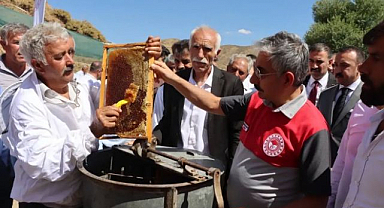 Kovanlar açıldı, bal bereketi başladı