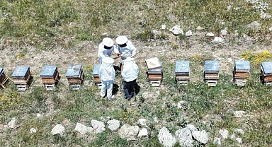 Kovanlar bal doldu, arıcılar hasadı bekliyor