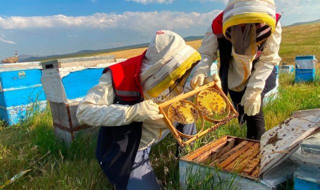Kovanlar denetlendi! Üretici desteklendi