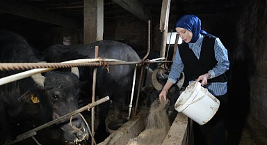 Köyünün simgesi oldu