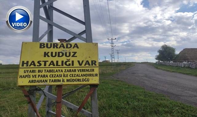 Kuduz nedeniyle mahalleye giriş çıkışlar yasaklandı