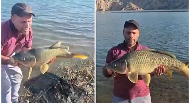 Oltaya takıldı, görenleri şaşırttı...