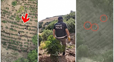 Ormanda suçüstü: 3 şüpheli tutuklandı