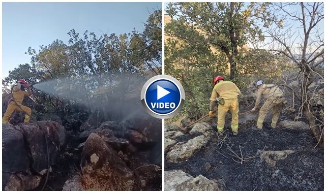 Ormanlık alanda çıkan yangın yürekleri ağza getirdi