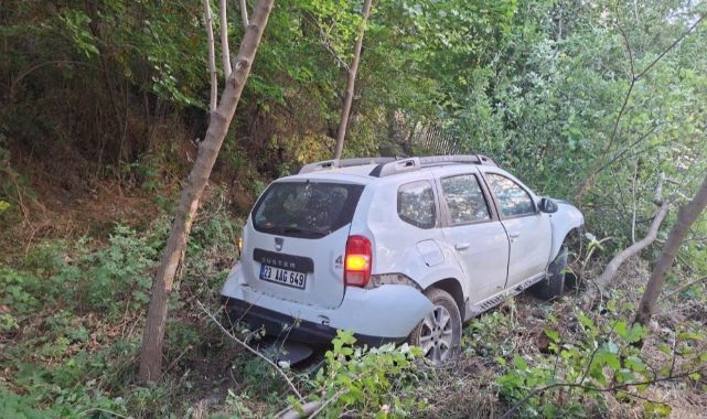 Otomobil bahçeye uçtu: 2 yaralı