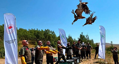 Özgürlüğe kanat çırptılar!