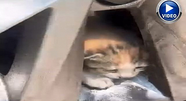 Teker kısmında sıkışan kediler kurtarıldı