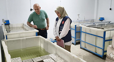Yapı denetim laboratuvarına denetim