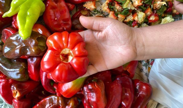 Yazın ürünü kışa saklanıyor: Biberler kurutuluyor
