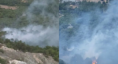 Yıldırım düştü, orman alevlere teslim oldu