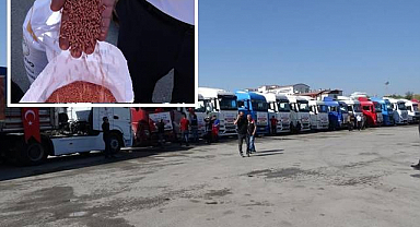 4 yılda 750 milyon liralık tohum desteği