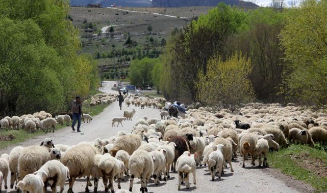 5 aylık sezonun ardından dönüş başladı