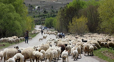 5 aylık sezonun ardından dönüş başladı