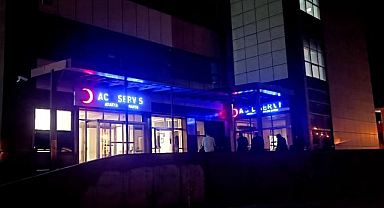 Armut ağacından düşen kişi öldü!
