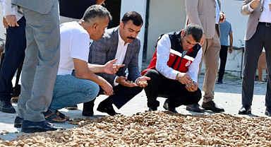 Badem hasadında bereketli sezon başladı