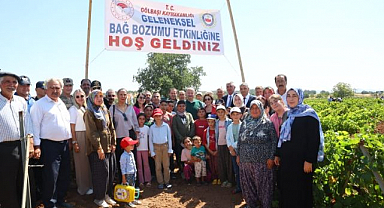 Bağ bozumu heyecanı başladı!