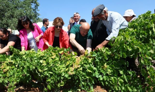 Bağ bozumu şenliği başladı