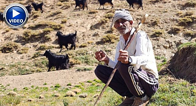 Büyük şehri bıraktı, 2 bin 500 rakımda hayatını kurdu