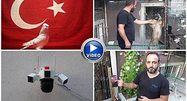 Çelik kapı, kamera ve kurt... Servet ödediği güvercinlerine böyle bakıyor!