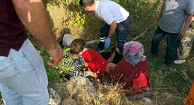 Ceviz toplamak isterken canından oluyordu