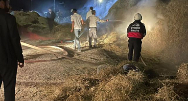 Çiftçinin kara günü! Binlerce bağ ot kül oldu 