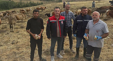 Çobanlara yonca zehirlenmesi uyarısı!