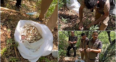 Dağ sarımsağı söken 3 kişiye dudak uçuklatan ceza!