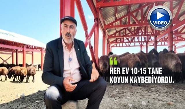DAP'tan meralara hayvancılığı güçlendiren yatırım